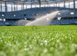 曼联,塞维利亚平,局成遗憾,球天下体育,体育赛事平台,足球赛事资讯,篮球赛事信息,赛事动态