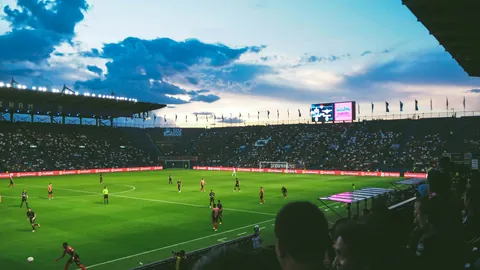 苏丹军方声明重获杰济拉州某城统治权