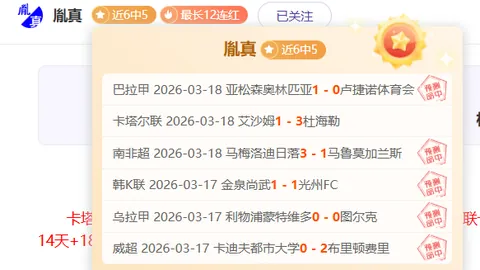 俄轻型飞机紧急迫降造成2人受伤