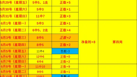 专员杯决战：自由队对阵王牌队 完美解析
